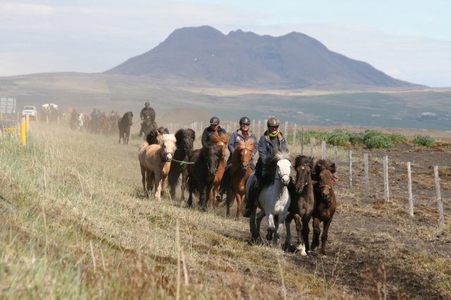 Sumarferð Sleipnis 2015