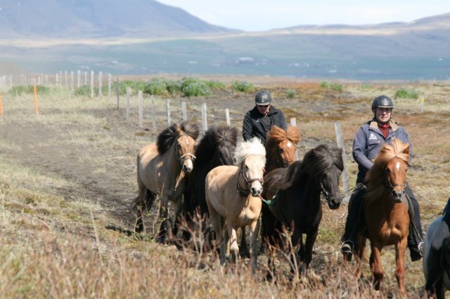 Sumarferð Sleipnis 2015