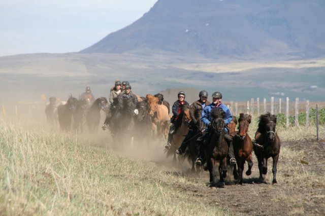 Sumarferð Sleipnis 2015