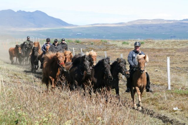 Sumarferð Sleipnis 2015