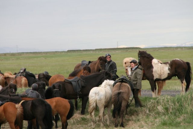 Sumarferð Sleipnis 2015