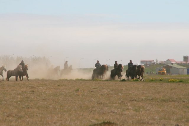 Sumarferð Sleipnis 2015