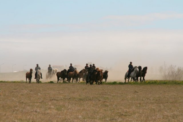 Sumarferð Sleipnis 2015