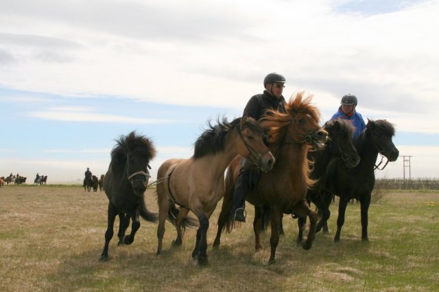 Sumarferð Sleipnis 2015