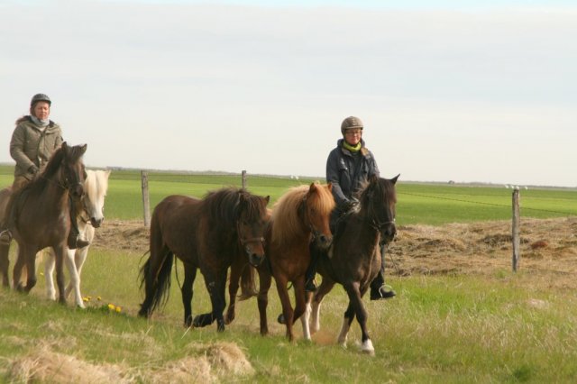 Sumarferð Sleipnis 2015