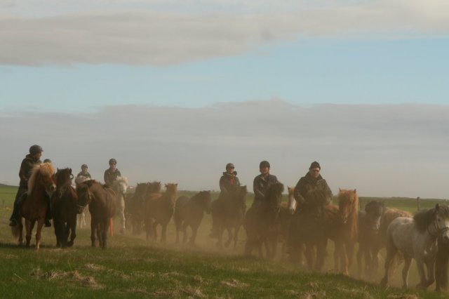 Sumarferð Sleipnis 2015