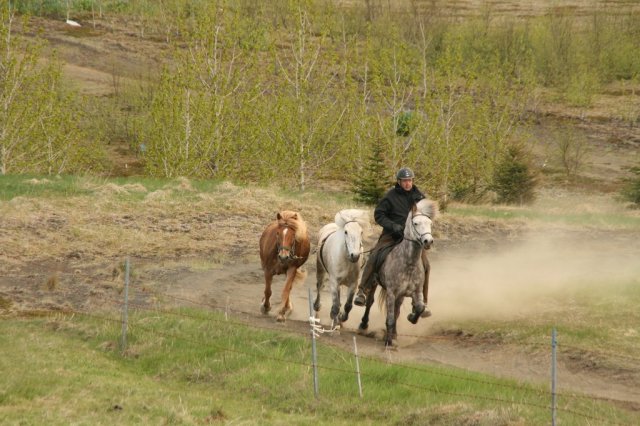 Sumarferð Sleipnis 2015