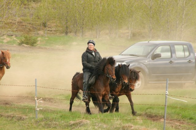 Sumarferð Sleipnis 2015