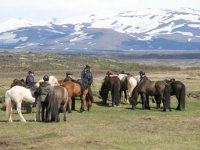 Sumarferð Sleipnis 2015