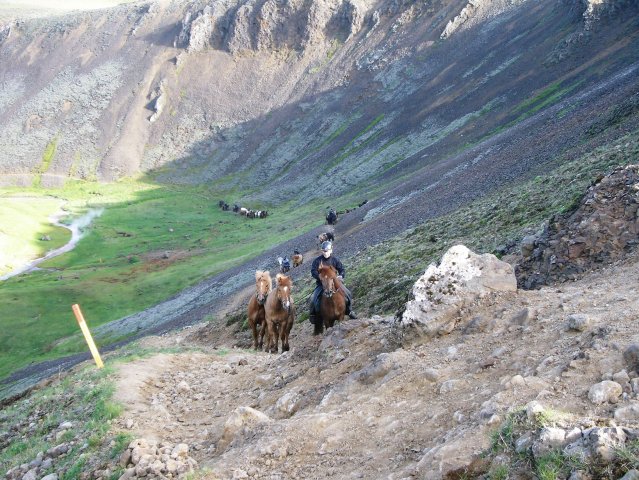 Sleipnisferð 2008