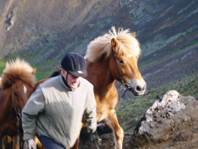 Sleipnisferð 2008