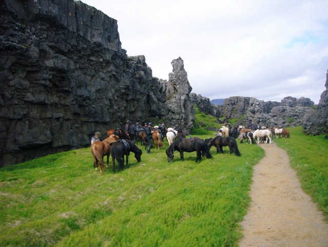 Sleipnisferð 2008