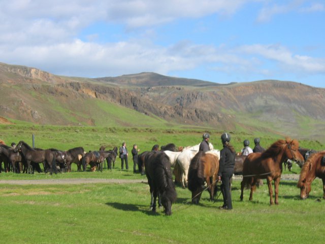 Sleipnisferð 2008