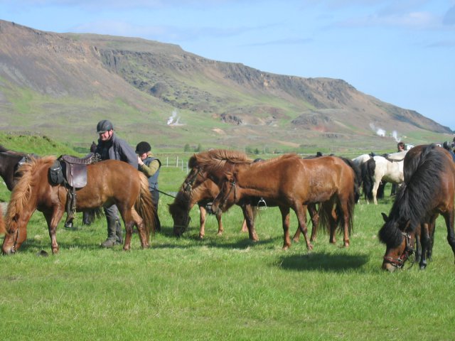 Sleipnisferð 2008