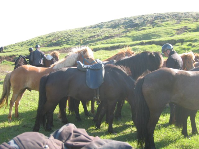 Sleipnisferð 2008