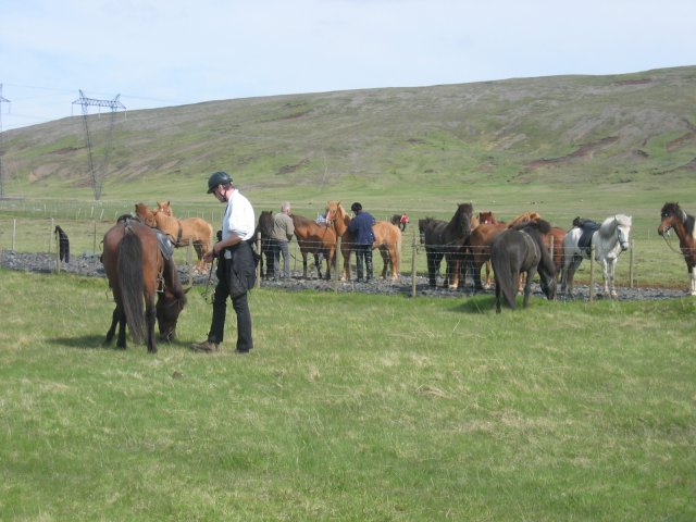 Sleipnisferð 2008