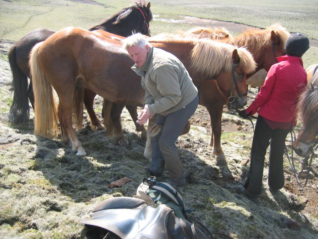 Sleipnisferð 2008