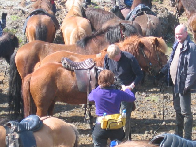 Sleipnisferð 2008