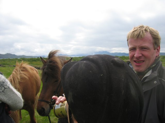 Sleipnisferð 2008