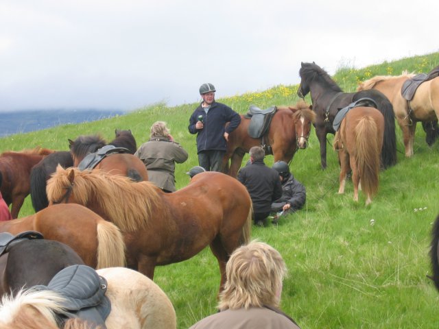 Sleipnisferð 2008