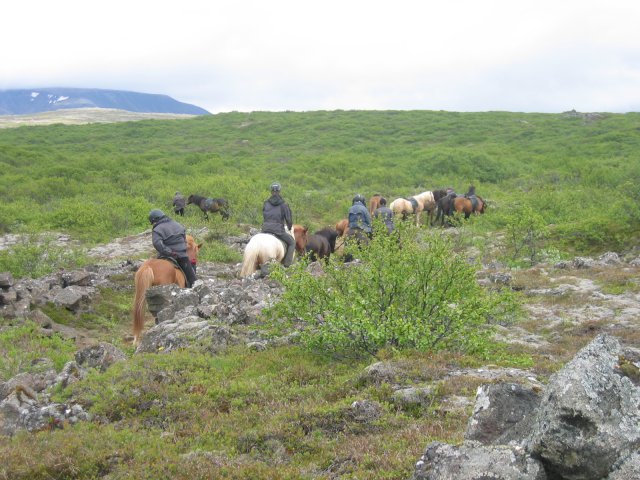 Sleipnisferð 2008