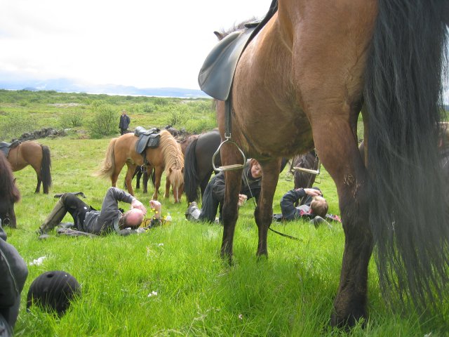 Sleipnisferð 2008