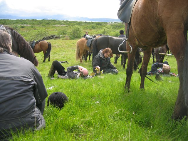 Sleipnisferð 2008