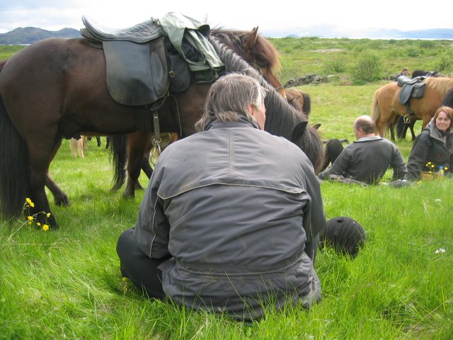 Sleipnisferð 2008