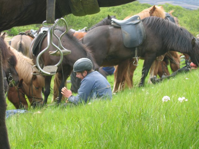 Sleipnisferð 2008