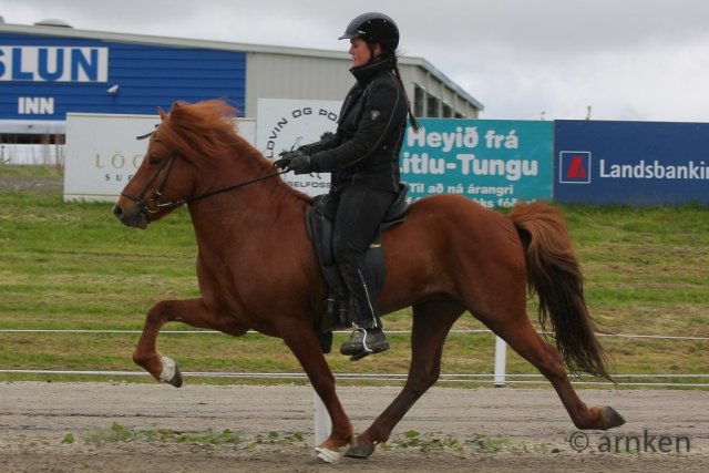 Gæðingamótið 8.júní 2013