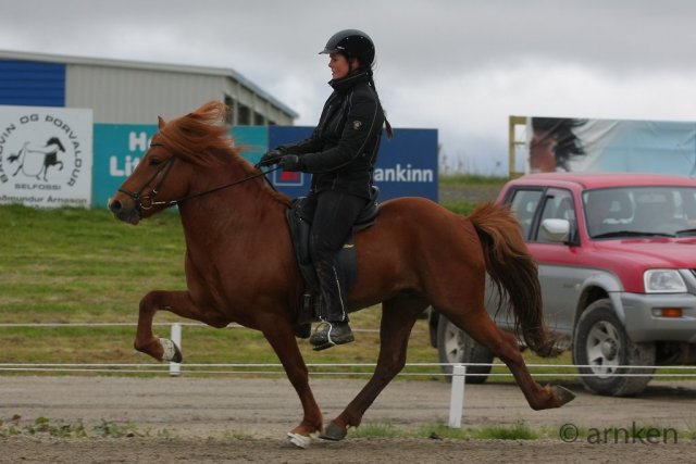 Gæðingamótið 8.júní 2013