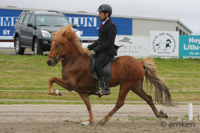 Gæðingamótið 8.júní 2013