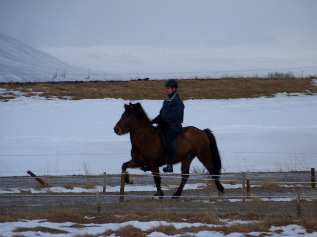 Vetrarmót I 2009