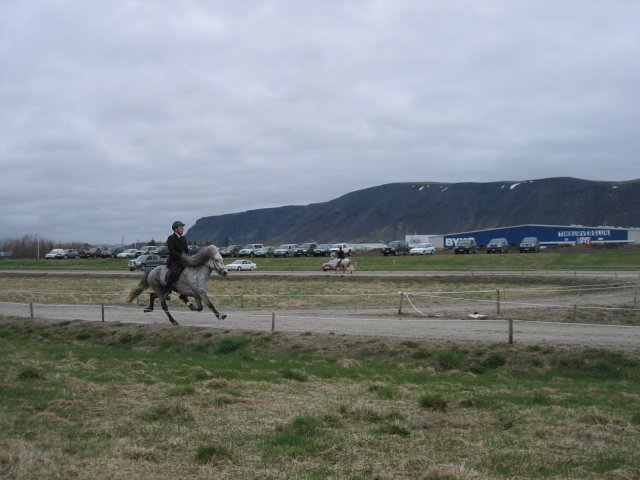 Íþróttamót 2008