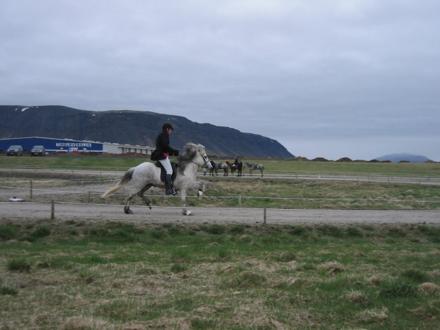 Íþróttamót 2008