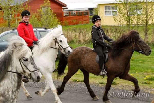 Vígsla Reiðhallar