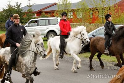 Vígsla Reiðhallar