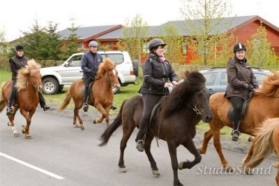 Vígsla Reiðhallar