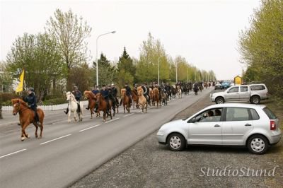 Vígsla Reiðhallar