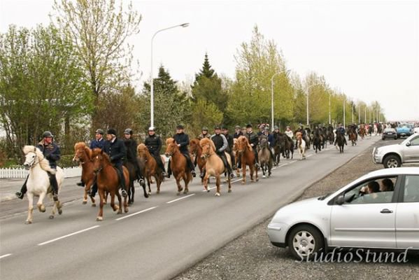 Vígsla Reiðhallar