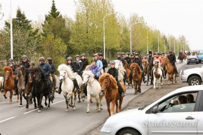 Vígsla Reiðhallar