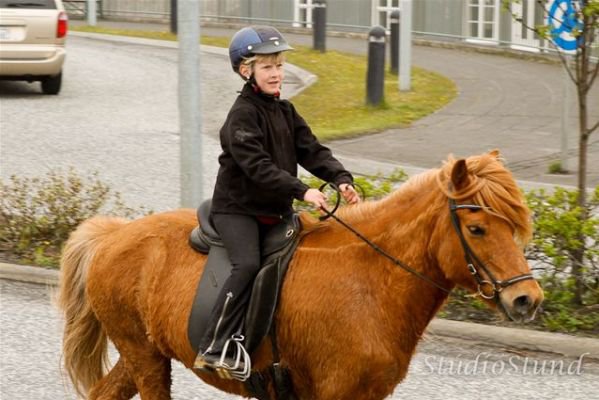 Vígsla Reiðhallar