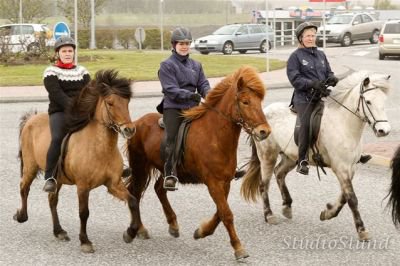 Vígsla Reiðhallar