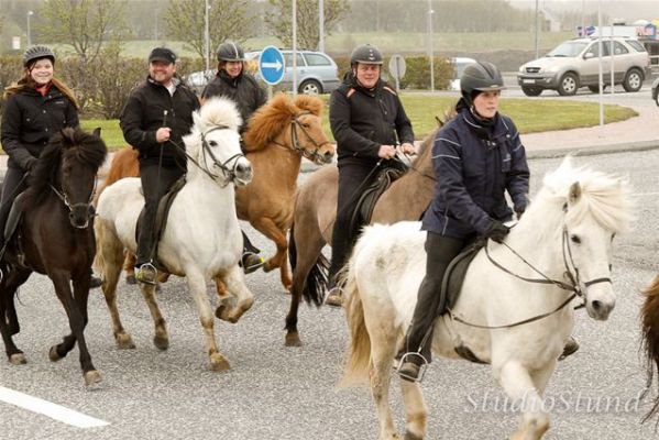 Vígsla Reiðhallar