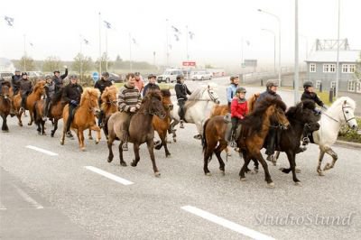 Vígsla Reiðhallar