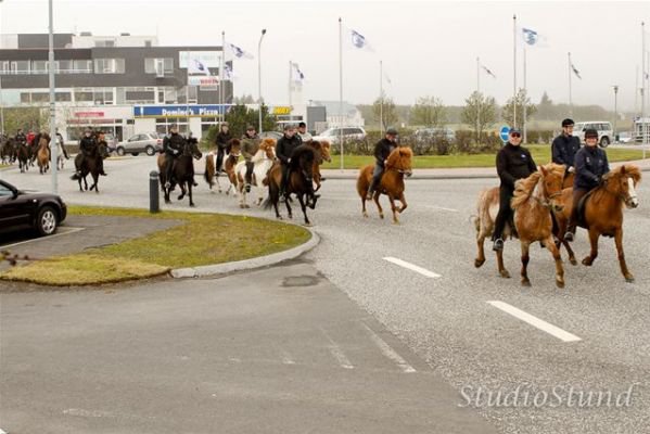 Vígsla Reiðhallar