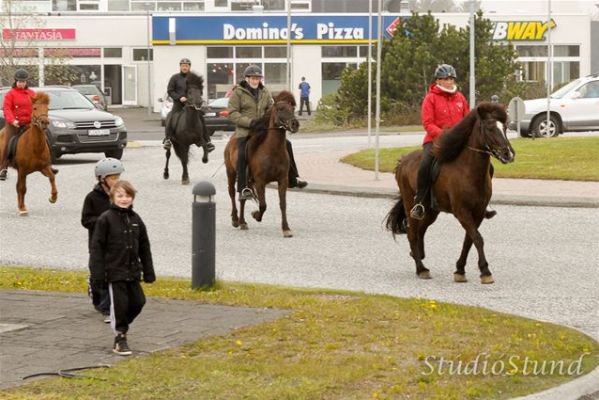 Vígsla Reiðhallar