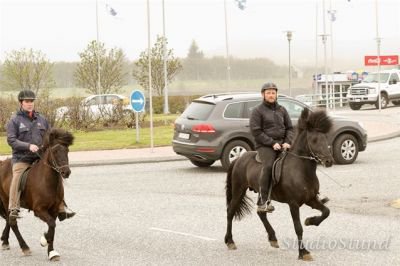 Vígsla Reiðhallar