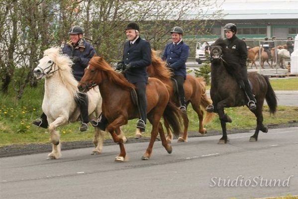 Vígsla Reiðhallar