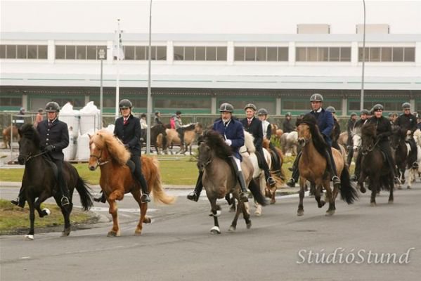 Vígsla Reiðhallar